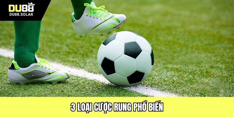 3 loại cược rung phổ biến