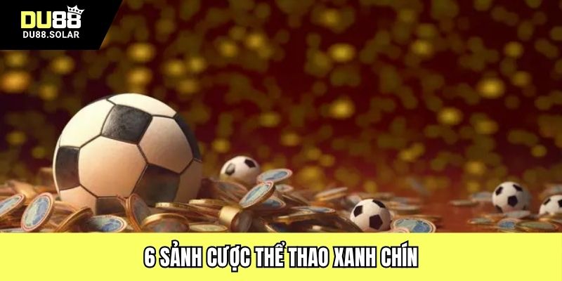 6 sảnh cược thể thao xanh chín
