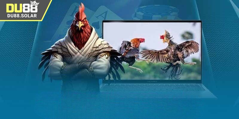 Giới thiệu đá gà trực tiếp hôm nay tại DU88